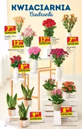 Gazetka promocyjna Biedronka - W tym tygodniu PN - Gazetka - ważna od 12.08 do 12.08.2021 - strona 10 - produkty: Róża, Bukiet