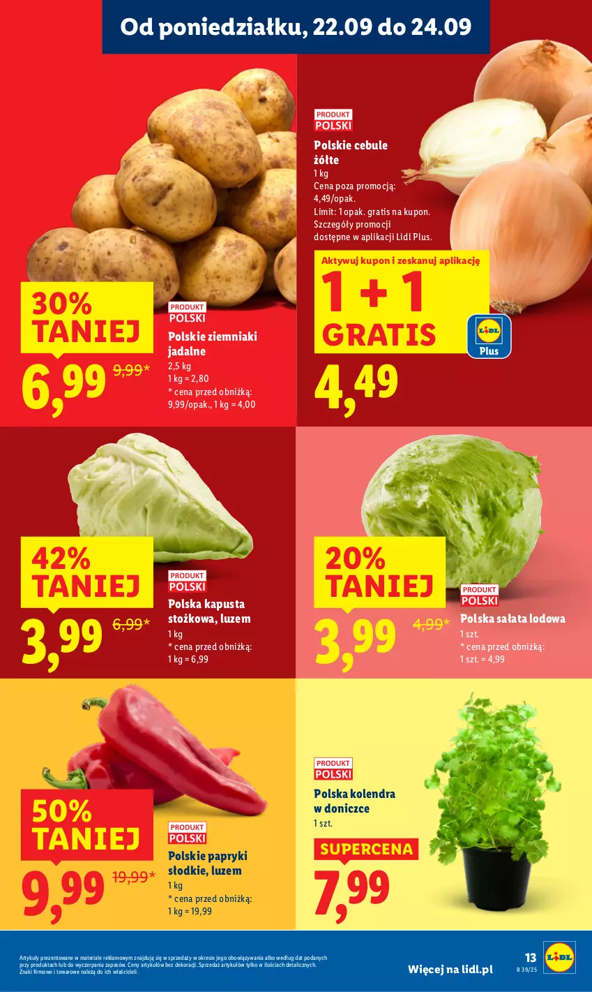 Gazetka promocyjna Lidl - GAZETKA - ważna 22.09 do 24.09.2025 - strona 19 - produkty: Gra, Kolendra, Sałat, Sałata lodowa, Ziemniaki