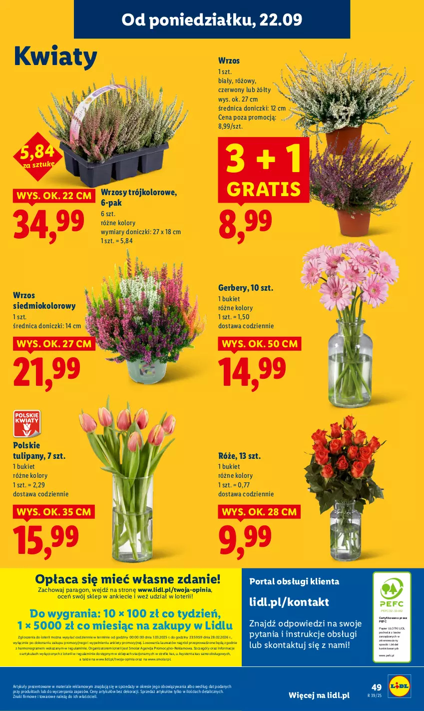 Gazetka promocyjna Lidl - GAZETKA - ważna 22.09 do 24.09.2025 - strona 64 - produkty: Bukiet, Gerber, Gra, Laur, Mola, Papier, Por, Portal, Tulipan