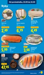 Gazetka promocyjna Lidl - GAZETKA - Gazetka - ważna od 24.09 do 24.09.2025 - strona 27 - produkty: Polędwica, Por, Pstrąg tęczowy, Tusz, Pstrąg, Dorsz