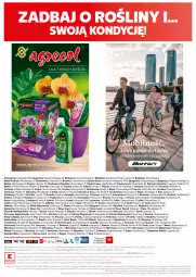 Gazetka promocyjna Kaufland - Kaufland - Gazetka - ważna od 10.05 do 10.05.2025 - strona 26 - produkty: Piec, Top, Sos, Sól, Gry, BIC, Namysłów, Szal, Kosz, Parasol, Lion, LANA, Piast, Podlaski, Mysz, Olej, Monte