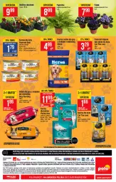Gazetka promocyjna PoloMarket - Gazetka promocyjna - Gazetka - ważna od 04.05 do 04.05.2021 - strona 42 - produkty: Pur, Gra, Zlew, Purina, Gourmet Gold, Mars, Mobil, Fa