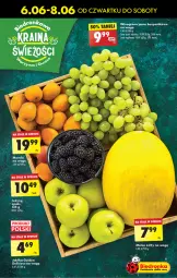 Gazetka promocyjna Biedronka - Od czwartku - Gazetka - ważna od 12.06 do 12.06.2024 - strona 15 - produkty: Melon