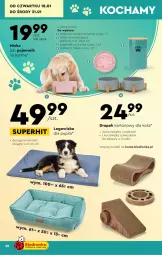 Gazetka promocyjna Biedronka - Gazetka - ważna od 28.01 do 28.01.2024 - strona 30 - produkty: Koc, Pojemnik, LEGO, Drapak, Miska, Legowisko