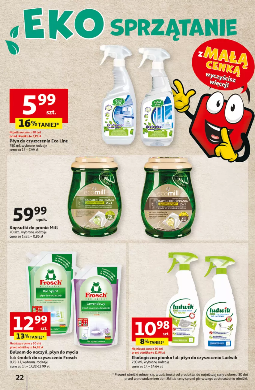 Gazetka promocyjna Auchan - Gazetka z MAŁĄ CENKĄ dźwigniesz więcej! Hipermarket Auchan - ważna 15.02 do 21.02.2024 - strona 22 - produkty: Frosch, Kapsułki do prania, Ludwik, Płyn do mycia, Sprzątanie