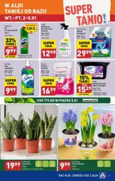 Gazetka promocyjna Aldi - Gazetka - ważna od 05.01 do 05.01.2024 - strona 16 - produkty: Domestos, Hiacynt, Tablet, Proszek do prania, Płyn do płukania, Narcyz, Zmywarki, Kapsułki do prania, Tabletki do zmywarki