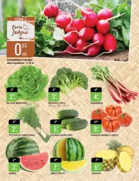 Gazetka promocyjna Bi1 - Deser w Twoim stylu - Gazetka - ważna od 14.06 do 14.06.2022 - strona 6 - produkty: Ogórek, Ananas, Brokuły, Arbuz, Grunt, Rzodkiewka
