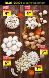 Gazetka promocyjna Biedronka - Od czwartku - Gazetka - ważna od 24.01 do 24.01.2024 - strona 33 - produkty: Piec, Koc, Grzyby, Pieczarka