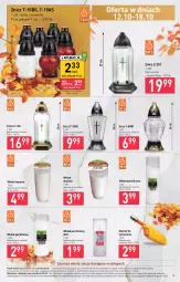 Gazetka promocyjna Stokrotka - Market - Gazetka - ważna od 18.10 do 18.10.2023 - strona 16 - produkty: Warzywa, Zapalarka, Znicz, Owoce, Olej, Mięso, Wkład olejowy