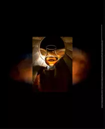 Gazetka promocyjna Selgros - Katalog Alkohole - Gazetka - ważna od 05.04 do 05.04.2021 - strona 16 - produkty: Cień, Tran, Fa