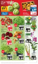 Gazetka promocyjna Kaufland - Gazetka tygodnia - Gazetka - ważna od 16.08 do 16.08.2023 - strona 13 - produkty: Cebula, Gra, Sałata masłowa, Róża, Papryka, Sałat, Storczyk, Buraki, Bukiet, Bazyl, Bazylia, Grunt, Masło, Pomidory, Mięta, Miecz