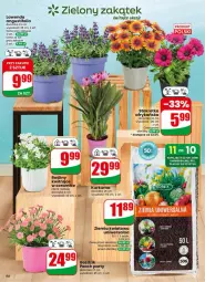Gazetka promocyjna Dino - Gazetka 20 / 2026 - Gazetka - ważna od 19.05 do 19.05.2026 - strona 60 - produkty: Kurkuma, Sok