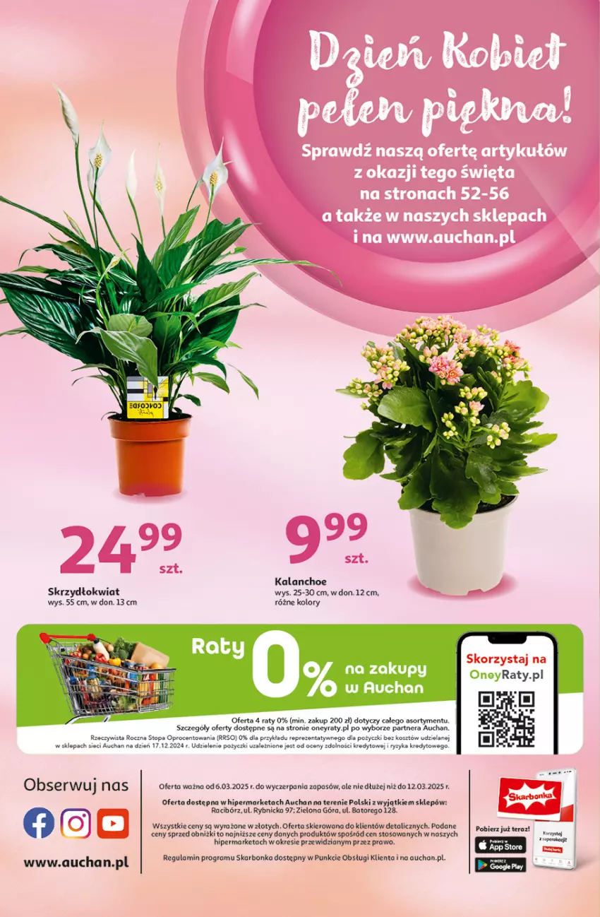 Gazetka promocyjna Auchan - Pewność Niskich Cen Hipermarket - ważna 06.03 do 12.03.2025 - strona 60 - produkty: Gra, Kalanchoe, Kosz, Ser, Tera, Top