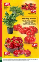 Gazetka promocyjna Stokrotka - Supermarket - Gazetka - ważna od 26.03 do 26.03.2025 - strona 22 - produkty: Papryka czerwona, Papryka, Lion, Bazyl, Bazylia, Pomidory, HP