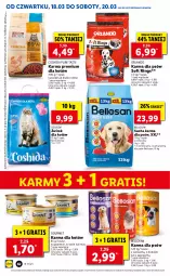 Gazetka promocyjna Lidl - GAZETKA - Gazetka - ważna od 20.03 do 20.03.2021 - strona 62 - produkty: Kurczak, Sos, Por, Pur, Mus, Gra, Bell, Gala, Sucha karma