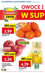 Gazetka promocyjna Lidl - GAZETKA - Gazetka - ważna od 20.03 do 20.03.2021 - strona 8 - produkty: Mandarynki, Cytryny, Owoce, Jabłka
