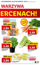 Gazetka promocyjna Lidl - GAZETKA - Gazetka - ważna od 20.03 do 20.03.2021 - strona 9 - produkty: Warzywa, Ziemniaki, Sałat, Bazyl, Seler naciowy, Bazylia