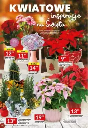 Gazetka promocyjna Twoj Market - Gazetka - ważna od 19.12 do 19.12.2023 - strona 30 - produkty: Cyprysik, Wazon, Bukiet