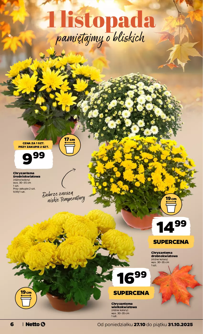 Gazetka promocyjna Netto - Od Poniedziałku - ważna 27.10 do 31.10.2025 - strona 6 - produkty: Chryzantema, Mięta