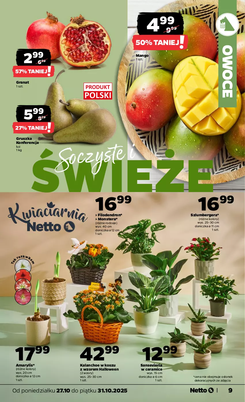 Gazetka promocyjna Netto - Od Poniedziałku - ważna 27.10 do 31.10.2025 - strona 9 - produkty: Amarylis, Gra, Granat, Kalanchoe, Kosz, Mango, Owoce, Szlumbergera, Tera