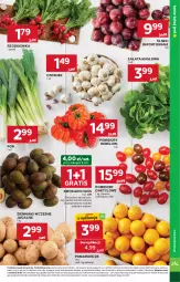 Gazetka promocyjna Stokrotka - Market - Gazetka - ważna od 26.03 do 26.03.2025 - strona 5 - produkty: Por, Gra, Sałata masłowa, Czosnek, Ziemniaki, Pomarańcze, Lion, Sałat, Masło, Pomidory, Rzodkiewka, HP