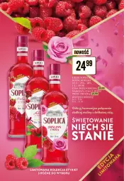 Gazetka promocyjna Dino - Katalog alkoholowy / marzec 2024 - Gazetka - ważna od 30.03 do 30.03.2024 - strona 17 - produkty: Soplica, Maliny, Likier