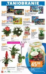 Gazetka promocyjna E Leclerc - Gazetka - ważna od 14.10 do 14.10.2023 - strona 19 - produkty: Gry, Gerber, Róża, Wywrotka, Kawa, Kosz, LEGO Technic, Kalanchoe, LEGO, Storczyk, Robot, Bromelia, Wóz strażacki, LEGO City, Jednorożec, LEGO Creator