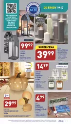 Gazetka promocyjna Aldi - Katalog moda i dom - Gazetka - ważna od 22.10 do 22.10.2022 - strona 7 - produkty: Gra, Rama, Róża, Lampion, Dzika róża, Mięta