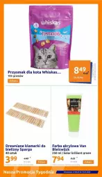Gazetka promocyjna Action - Gazetka - ważna od 21.05 do 21.05.2024 - strona 10 - produkty: Gra, Przysmak dla kota, Farba akrylowa, Fa
