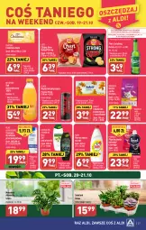 Gazetka promocyjna Aldi - Pełna oferta - Gazetka - ważna od 21.10 do 21.10.2023 - strona 27 - produkty: Piwa, Piwo, Płyn do prania, Sok pomarańczowy, Sok, Gra, Palmolive, Do mycia naczyń, Whiskas, Chipsy, Płyn do mycia naczyń, Tera, Lack, Carlsberg, Chusteczki kosmetyczne, Czekolada, Chusteczki, Szampon, Perwoll, Fairy, Płyn do mycia, Napój, Sukulent, Fa