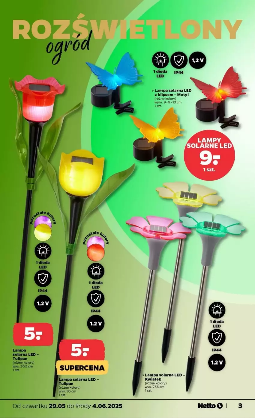 Gazetka promocyjna Netto - ważna 29.05 do 04.06.2025 - strona 49 - produkty: Lampa, Tulipan
