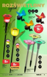 Gazetka promocyjna Netto - Gazetka - ważna od 04.06 do 04.06.2025 - strona 16 - produkty: Tulipan, Lampa