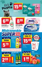 Gazetka promocyjna Spar - Spar - Gazetka - ważna od 14.10 do 14.10.2022 - strona 9 - produkty: Piwa, Gra, Papier, Tera, Papier toaletowy, Mola, Fairy, Płyn do mycia, Mięta, Fa