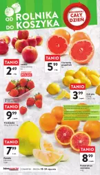Gazetka promocyjna Intermarche - Gazetka Intermarche - Gazetka - ważna od 24.01 do 24.01.2024 - strona 20 - produkty: Sok, Gra, Pomarańcze, Pomelo, Pokrywa
