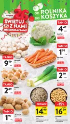 Gazetka promocyjna Intermarche - Gazetka Intermarche - Gazetka - ważna od 11.10 do 11.10.2023 - strona 16 - produkty: Piec, Cebula, Kalafior, Por