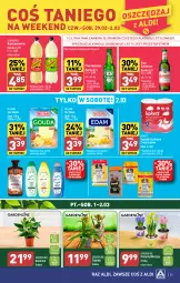 Gazetka promocyjna Aldi - Pełna oferta - Gazetka - ważna od 02.03 do 02.03.2024 - strona 29 - produkty: Piwa, Piwo, Ser, Gra, Hiacynt, Heineken, Schweppes, Ręcznik, Rolki, Edam, Napój gazowany, Szampon, Narcyz, Gouda, Napój