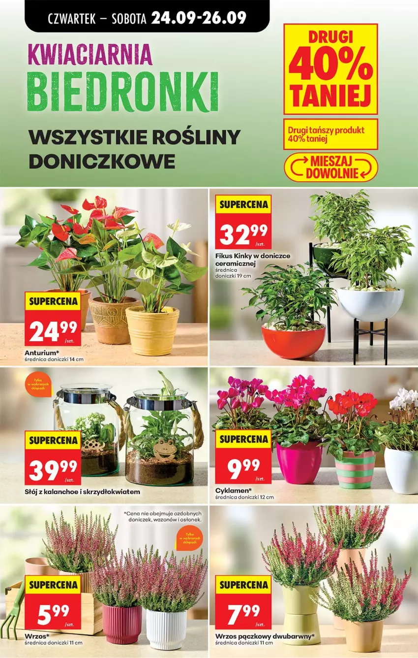 Gazetka promocyjna Biedronka - Od Czwartku - ważna 24.09 do 30.09.2026 - strona 89 - produkty: Cyklamen, Wazon