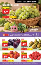 Gazetka promocyjna Biedronka - Od Czwartku - Gazetka - ważna od 30.09 do 30.09.2026 - strona 33 - produkty: Papier, Klej, Nektarynka, Nektar, Fa