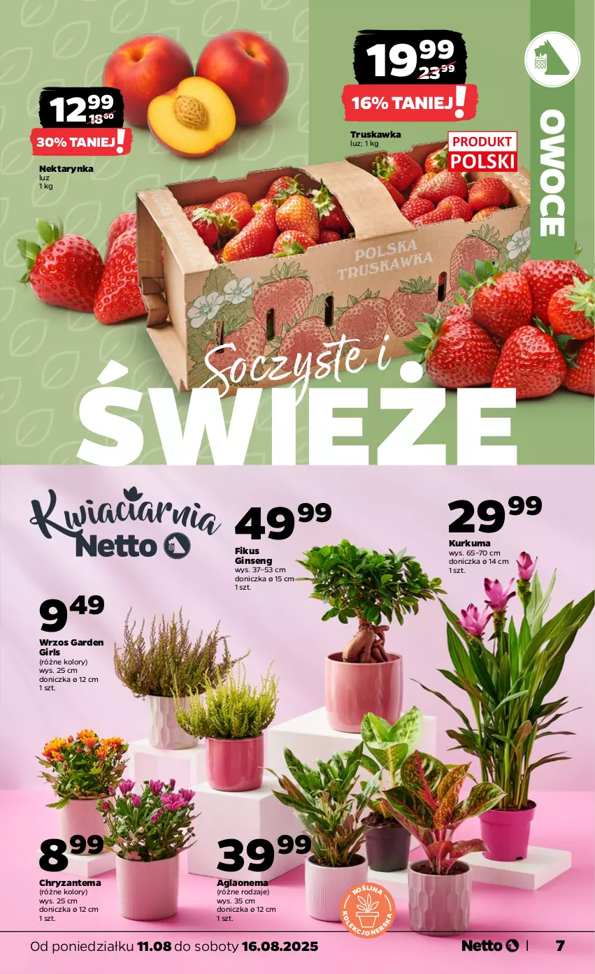 Gazetka promocyjna Netto - Od Poniedziałku - ważna 11.08 do 16.08.2025 - strona 7 - produkty: Chryzantema, Gin, Kurkuma, Nektar, Nektarynka, Owoce