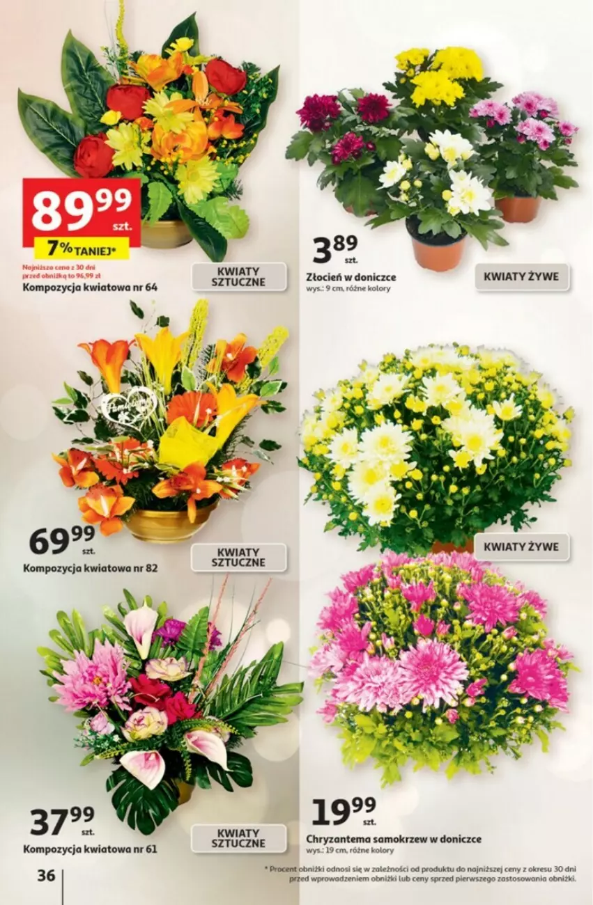 Gazetka promocyjna Auchan - ważna 28.09 do 04.10.2023 - strona 30 - produkty: Chryzantema, Cień