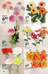 Gazetka promocyjna Auchan - Gazetka - ważna od 04.10 do 04.10.2023 - strona 28 - produkty: Gerber, Chodnik, Róża
