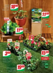 Gazetka promocyjna Dino - Gazetka - ważna od 29.04 do 29.04.2025 - strona 52 - produkty: Sok, Gra, Nawóz