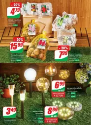 Gazetka promocyjna Dino - Gazetka - ważna od 29.04 do 29.04.2025 - strona 53 - produkty: Por, Grunt, Lampa