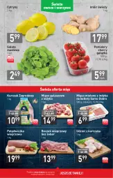 Gazetka promocyjna Stokrotka - Market - Gazetka - ważna od 12.05 do 12.05.2021 - strona 3 - produkty: Kurczak, Mięso mielone, Sałata masłowa, Polędwiczka wieprzowa, Cytryny, Sałat, Kotlet, Boczek, Masło, Pomidory, Mięso, Boczek wieprzowy, Imbir