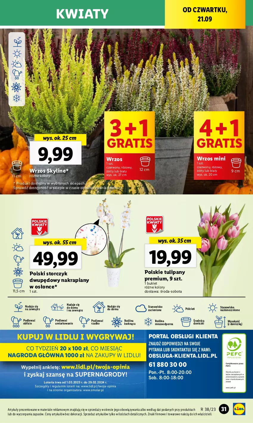 Gazetka promocyjna Lidl - GAZETKA - ważna 21.09 do 23.09.2023 - strona 43 - produkty: Bukiet, Cień, Gra, Gry, Mola, O nas, Por, Sok, Storczyk, Tulipan