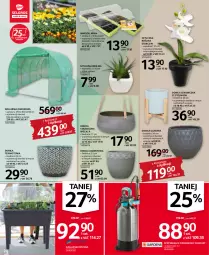 Gazetka promocyjna Selgros - Oferta przemysłowa - Gazetka - ważna od 16.03 do 16.03.2022 - strona 24 - produkty: Sok, Stojak, Tera, Storczyk, Cement