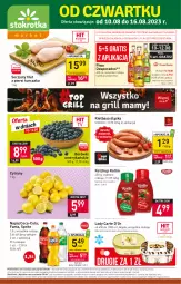 Gazetka promocyjna Stokrotka - Market - Gazetka - ważna od 16.08 do 16.08.2023 - strona 1 - produkty: Piwa, Piwo, Kurczak, Ketchup, Warzywa, Sok, Gra, Filet z piersi kurczaka, Sokołów, Cytryny, Coca-Cola, Desperados, Lody, Algida, Kotlin, Fanta, Owoce, Sprite, Napój, Kiełbasa, Mięso, Kiełbasa śląska, LG, Fa