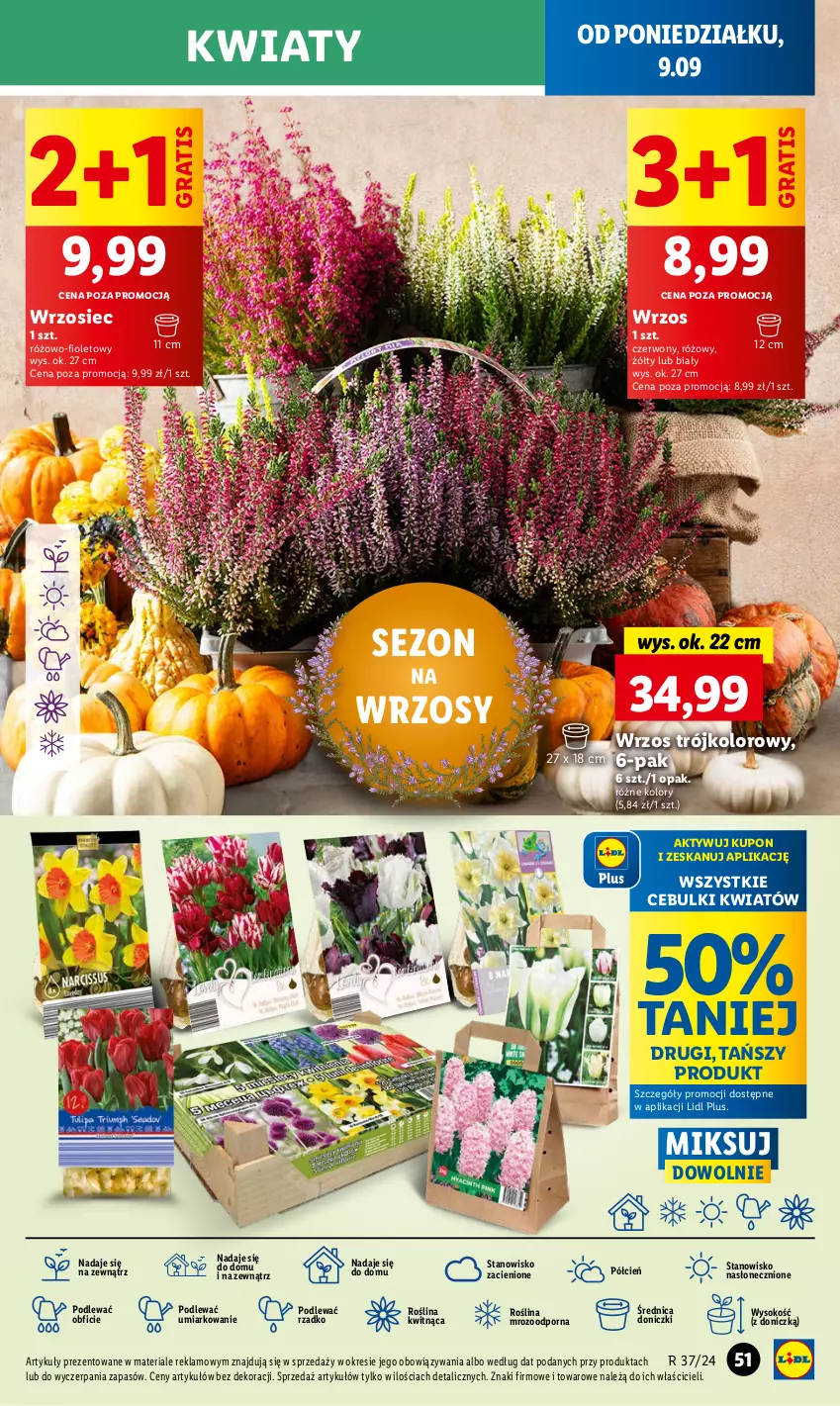 Gazetka promocyjna Lidl - GAZETKA - ważna 09.09 do 11.09.2024 - strona 55 - produkty: Cień, Gra, O nas, Por, Sok