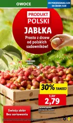 Gazetka promocyjna Lidl - GAZETKA - Gazetka - ważna od 11.09 do 11.09.2024 - strona 15 - produkty: Owoce, Gala, Jabłka