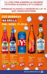 Gazetka promocyjna Aldi - Pełen katalog od 19.06 - Gazetka - ważna od 25.06 do 25.06.2023 - strona 15 - produkty: Piwa, Piwo, Gra, Somersby, Tyskie, Lack, Grill